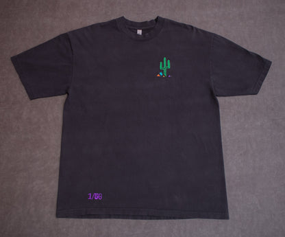 Stereotypical Saguaro